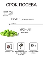 Семена Горох «Амброзия сахарный», 10 г, «Сембат» - Фото 2