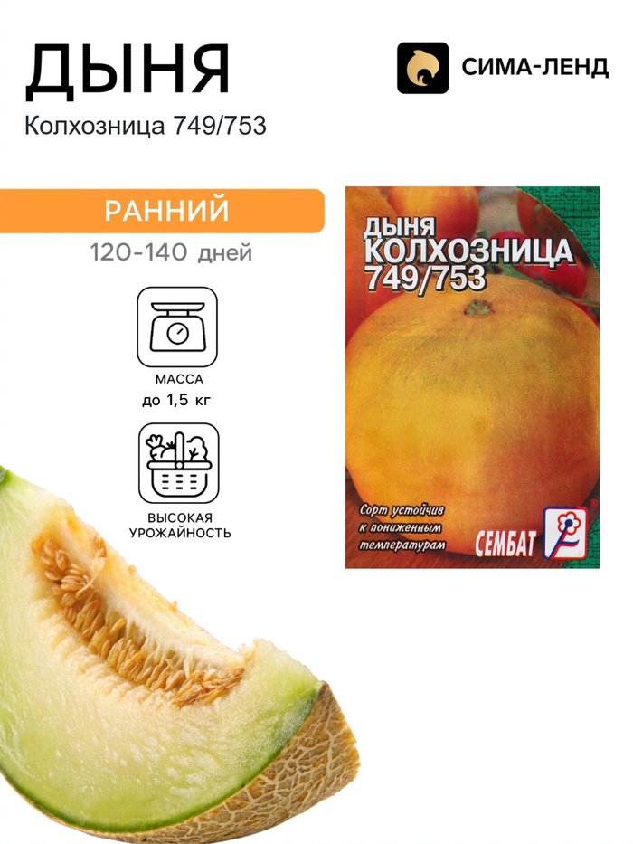 Семена Дыня «Колхозница 749/753», 0.5 г, «Сембат» - Фото 1