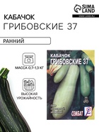 Семена Кабачок «Грибовские 37», 2 г, скороспелый, «Сембат» - Фото 1