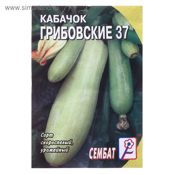 Семена Кабачок "Грибовские 37", 2 г - Фото 1