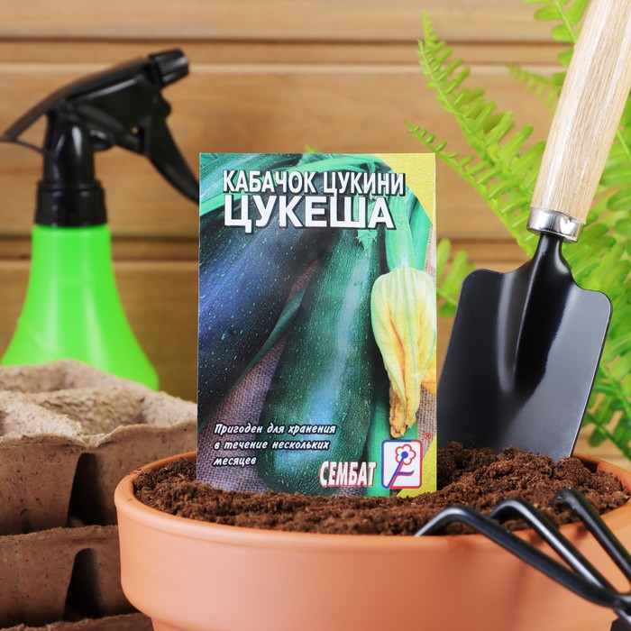 Семена Кабачок цуккини "Цукеша", 2 г - Фото 1