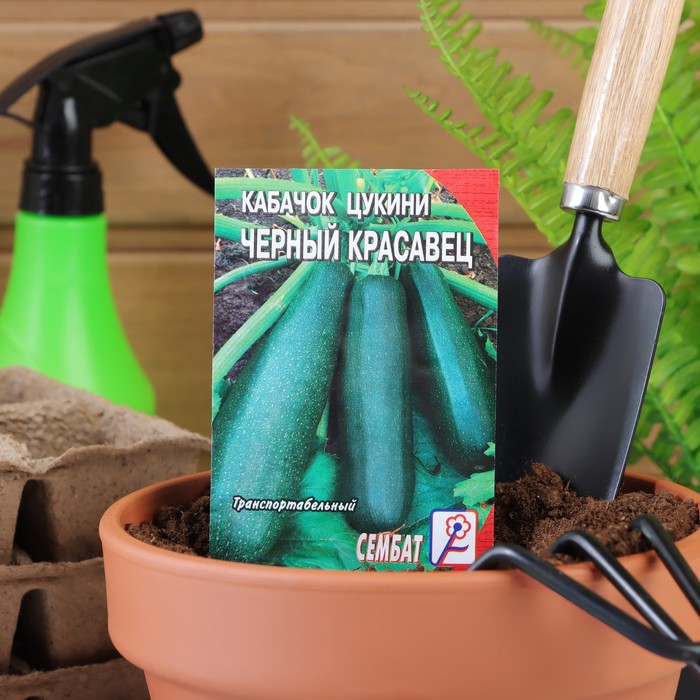 Семена Кабачок цуккини "Черный красавец", 2 г - Фото 1