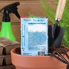 Семена Кабачок цуккини "Черный красавец", 2 г - Фото 2