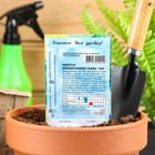 Семена Капуста белокочанная «Слава 1305», 0.5 г, «Сембат» - Фото 2