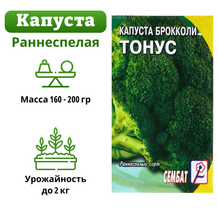 Семена Капуста брокколи "Тонус", 0,5 г - Фото 1