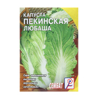 Семена Капуста пекинская, 0,5 г - Фото 1
