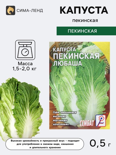 Семена Капуста пекинская «Любаша», 0.5 г, «Сембат»