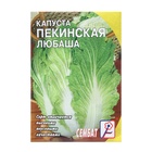 Семена Капуста пекинская «Любаша», 0.5 г, «Сембат» - Фото 4