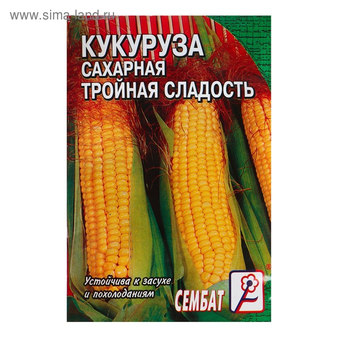 Семена Кукуруза  сахарная 