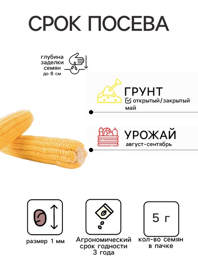 Семена Кукуруза сахарная «Тройная сладость», 5 г, «Сембат»