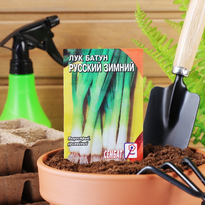 Семена Лук батун "Русский зимний", 1 г - Фото 1