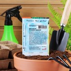 Семена Лук батун "Русский зимний", 1 г - Фото 2