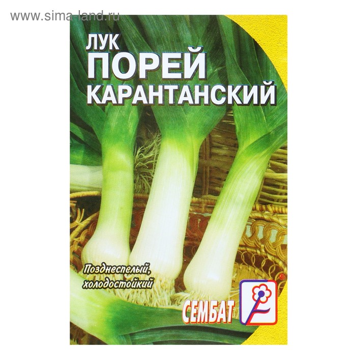 Семена Лук порей "Карантанский", 0,2 г - Фото 1