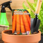 Семена Морковь "Королева осени", 2 г - Фото 2