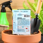 Семена Морковь "Королева осени", 2 г - Фото 3