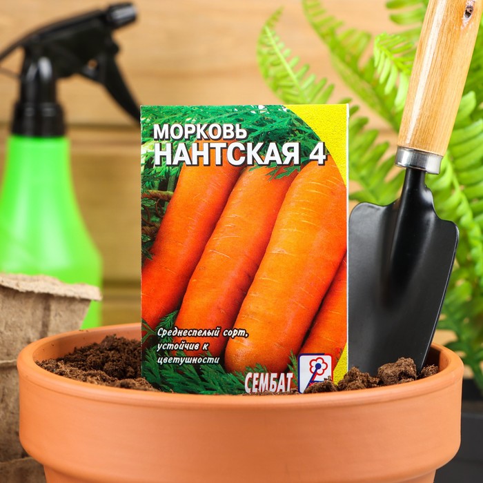 Семена Морковь "Нантская 4", 1 г - Фото 1