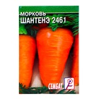 Семена Морковь «Шантенэ 2461», 0.5 г, «Сембат» - Фото 1