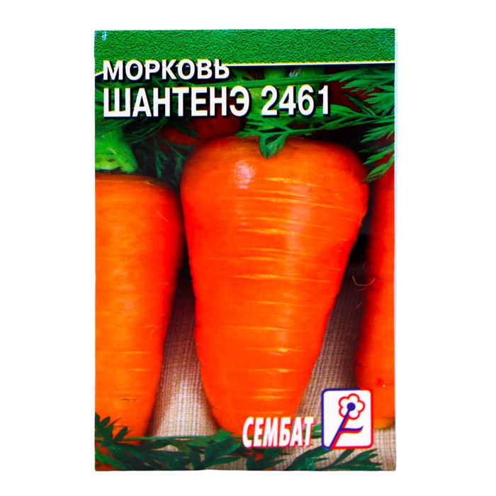 Семена Морковь «Шантенэ 2461», 0.5 г, «Сембат» - Фото 1