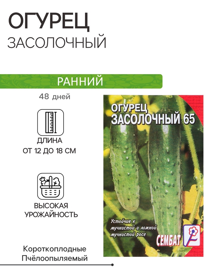 Семена Огурец "Засолочный", 0,5 г - Фото 1
