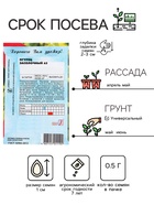 Семена Огурец "Засолочный", 0,5 г - Фото 4