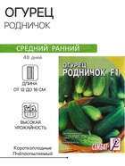 Семена Огурец "Родничок" F1, 0,2 г - Фото 1