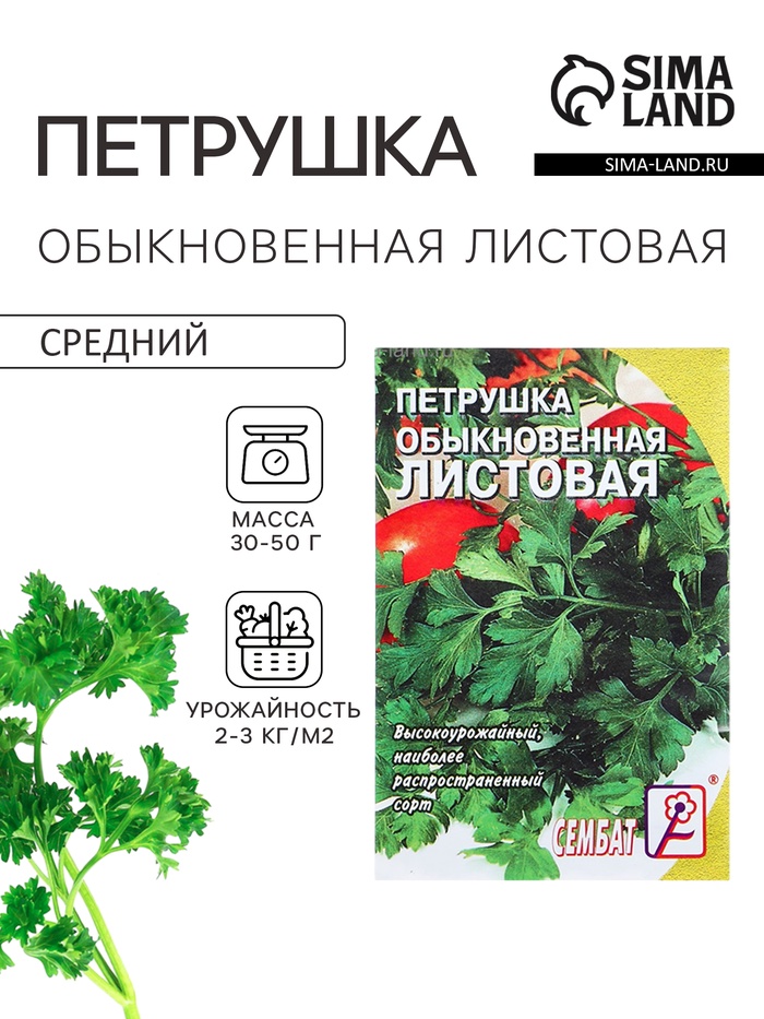 Семена Петрушка "Обыкновенная листовая", 3 г - Фото 1
