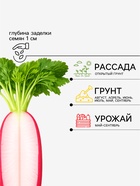 Семена Редис «18 дней», 3 г, «Сембат» - Фото 2