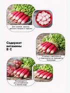 Семена Редис «18 дней», 3 г, «Сембат» - Фото 3