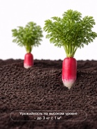 Семена Редис «18 дней», 3 г, «Сембат» - Фото 4