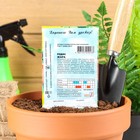 Семена Редис "Жара", 3 г - Фото 2