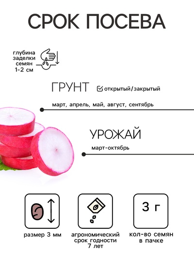 Семена Редис Розово- красный с белым кончиком, 3 г