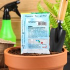 Семена Редис "Французский завтрак", 3 г - Фото 2