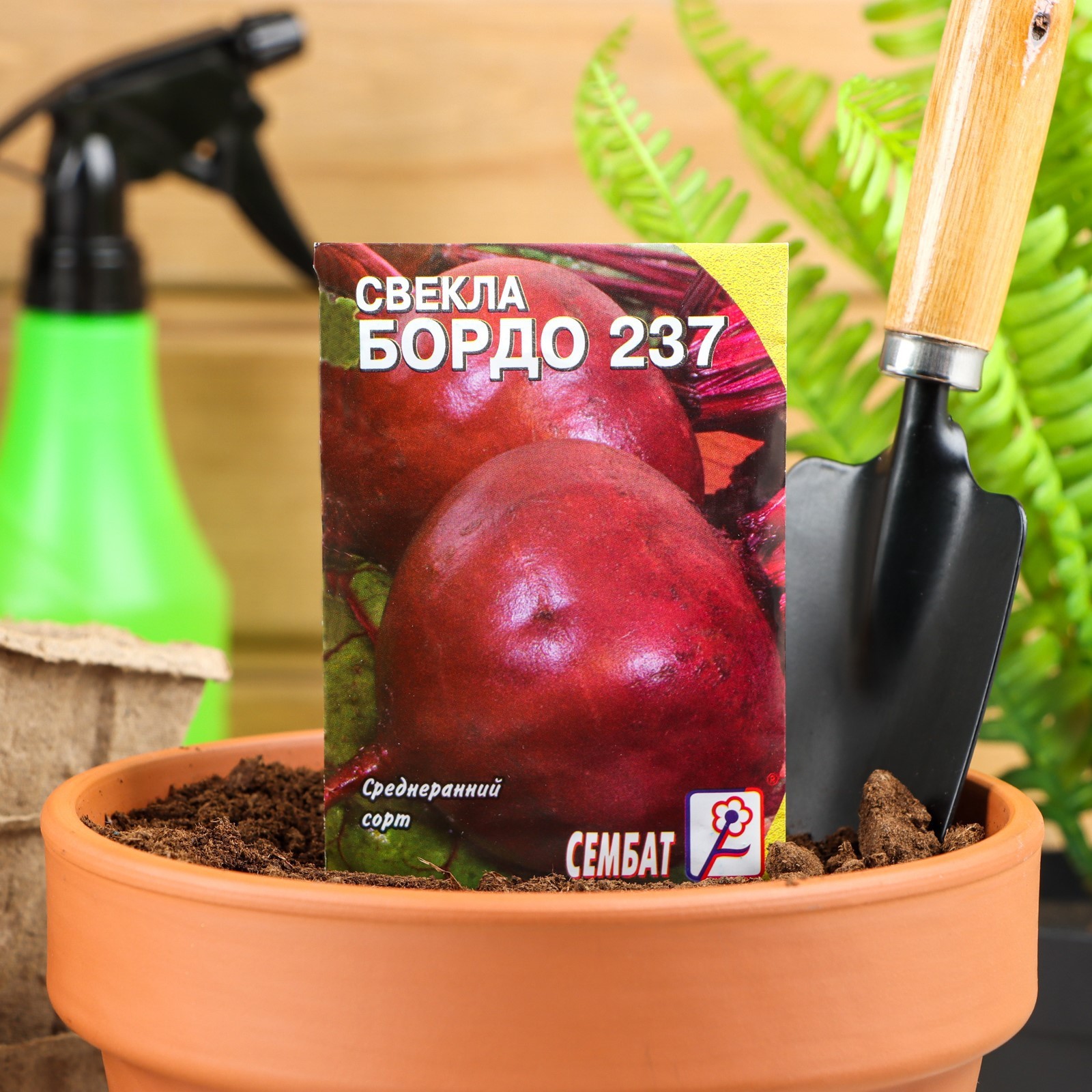 Семена Свекла "Бордо 237", 1 г (4662731) - Купить по цене от 8.40 руб ...