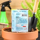 Семена Свекла "Бордо 237", 1 г - Фото 2