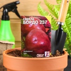 Семена Свекла "Бордо 237", 1 г - Фото 7