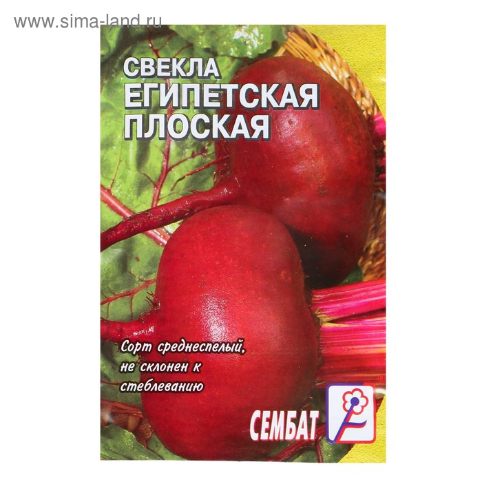 Семена Свекла "Египетская плоская", 2 г - Фото 1