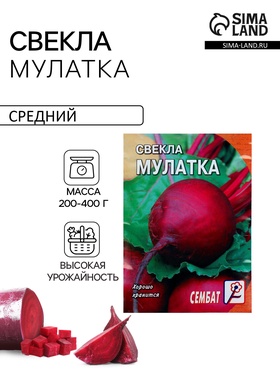 Семена Свекла "Мулатка", 2 г