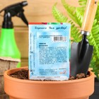 Семена Свекла "Мулатка", 2 г - Фото 2