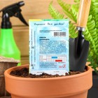 Семена Свекла "Цилиндра", 1 г - Фото 2