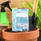 Семена Тыква "Зимняя Сладкая", 1 г - Фото 2