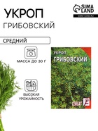Семена Укроп "Грибовский", 3 г - Фото 1