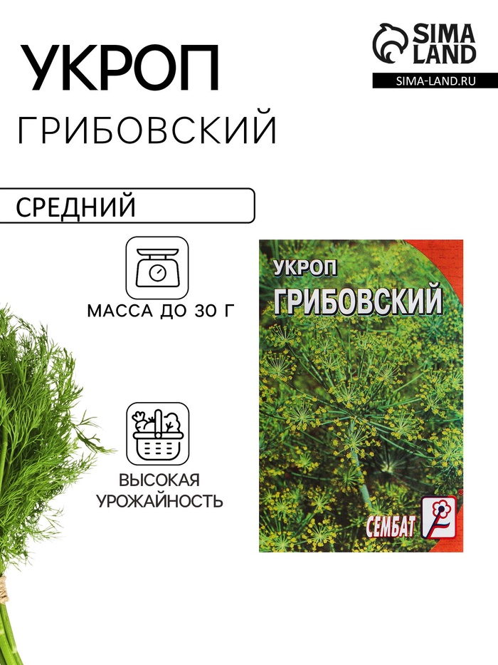 Семена Укроп "Грибовский", 3 г - Фото 1