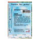 Семена Укроп "Грибовский", 3 г - Фото 2
