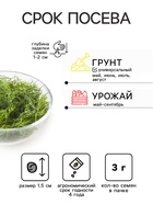 Семена Укроп "Грибовский", 3 г - Фото 2