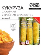 Семена Кукуруза сахарная «Тройная Сладость», XXXL, «Сембат», 25 г - Фото 1