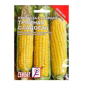 Семена ХХХL Кукуруза сахарная "Тройная Сладость", 25 г 4662772