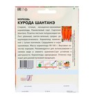 Семена ХХХL Морковь "Курода Шантанэ", 10 г - Фото 2