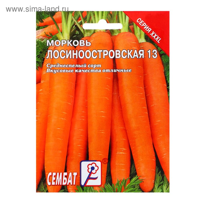 Семена ХХХL Морковь "Лосиноостровская 13", 10 г - Фото 1