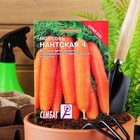 Семена Морковь «Нантская 4», XXXL, «Сембат», 10 г - Фото 3