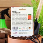Семена Морковь «Нантская 4», XXXL, «Сембат», 10 г - Фото 4